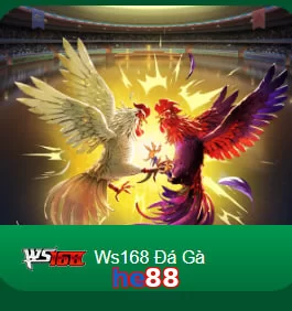 he88